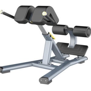 FH45 Roman Chair Gym Equipment