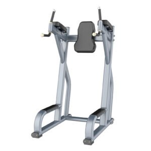 FH47 Vertical Knee Up Gym Equipment