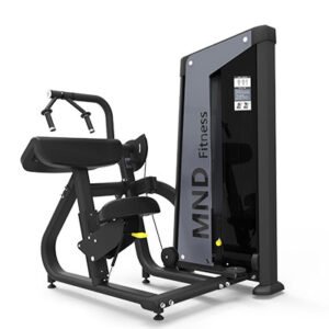 FH28 Triceps Extension Gym Equipment