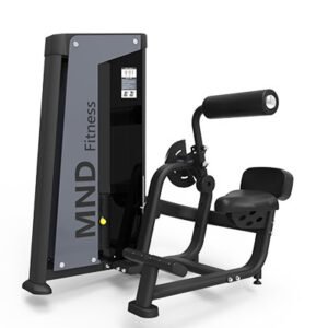 FH31 Back Extension Gym Equipment