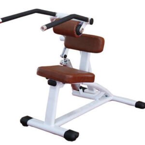 H9 abdominal crunch/Back Extension Gym Equipment