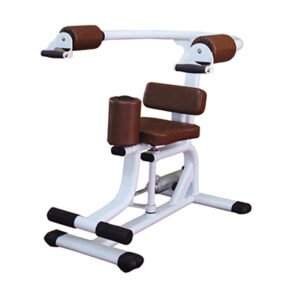 H10 Rotary Torso Gym Equipment