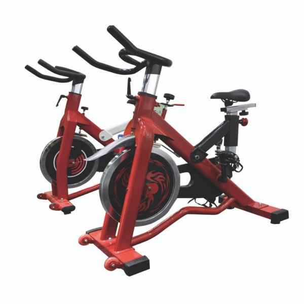 D01 Dynamic Cycling Bike Gym Equipment