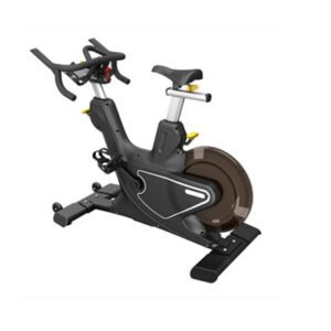 D16 Magnetic Resistance Bike Gym Equipment
