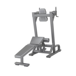 PL35 Abdominal & Knee Up/Dip Gym Equipment