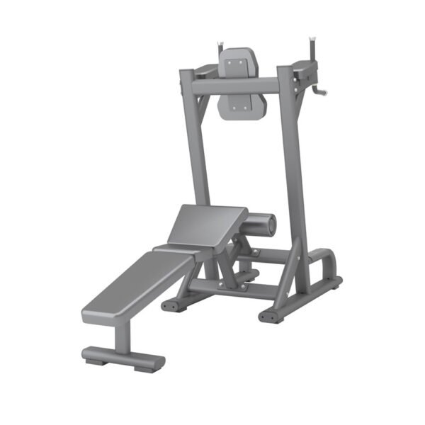 PL35 Abdominal & Knee Up/Dip Gym Equipment