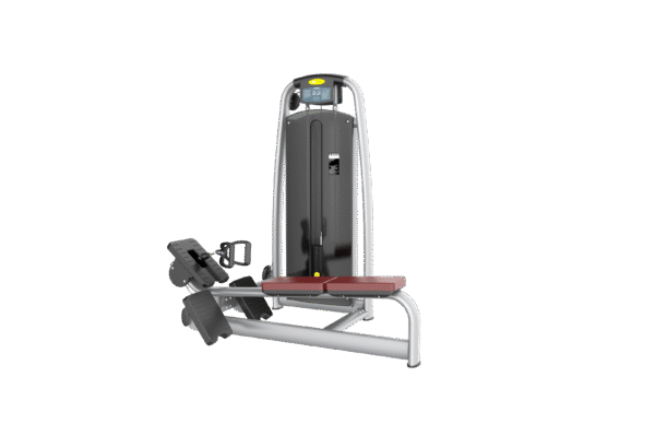 AN06 Long Pull Gym Equipment