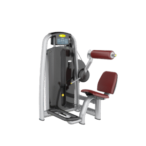 AN19 Back Extension Gym Equipment