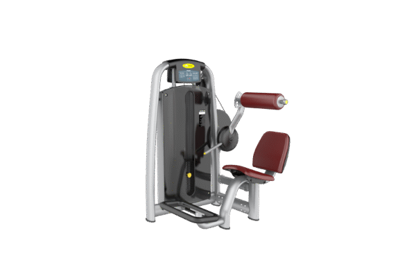 AN19 Back Extension Gym Equipment