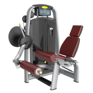 AN27 Seated Leg Extension Gym Equipment