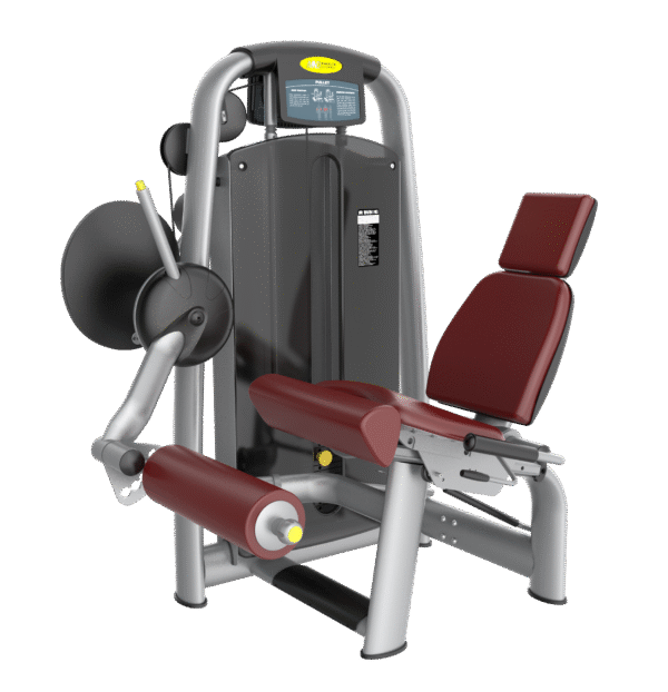 AN27 Seated Leg Extension Gym Equipment