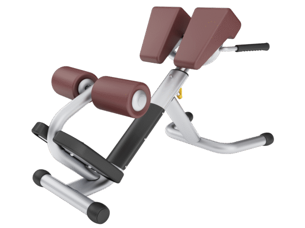AN31 Roman Chair Gym Equipment