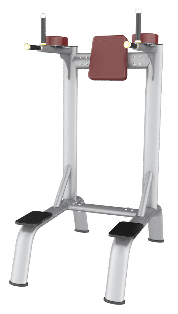 AN58 Vertical Kness Up Dip Gym Equipment