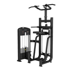 FB09 Factory Direct Supply Fitness Strength Machine Gym Equipment Dip/Chin Assist For Workout