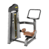 F18 Rotary Torso Gym Equipment
