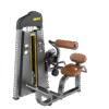 F31 Back Extension Gym Equipment