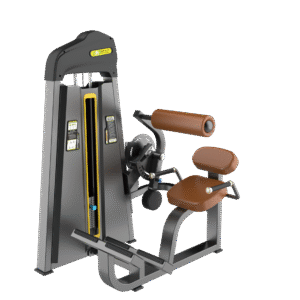 F31 Back Extension Gym Equipment