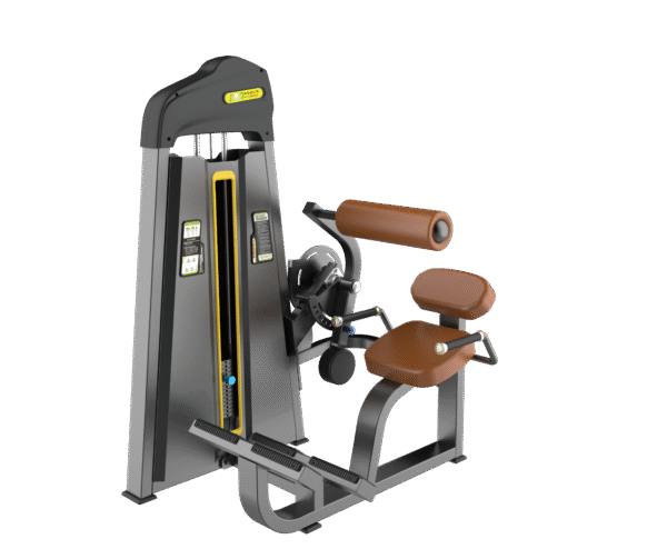 F31 Back Extension Gym Equipment