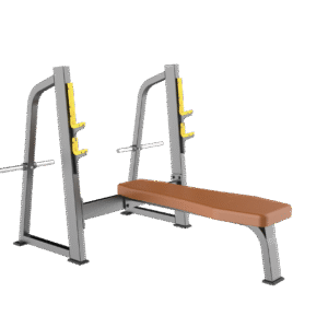 F43 Olympic Bench Gym Equipment