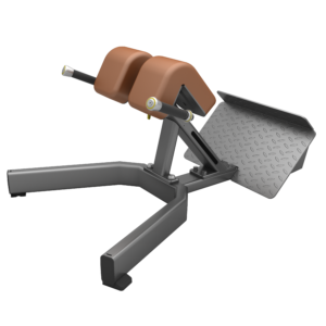 F45 Back Extension Gym Equipment
