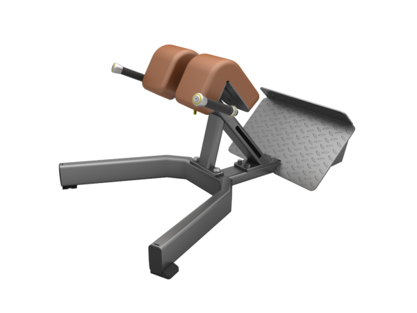 F45 Back Extension Gym Equipment