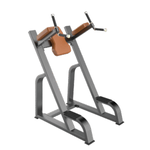 F47 Vertical Knee Up/Dip Gym Equipment