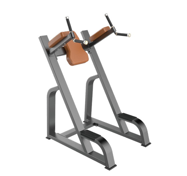 F47 Vertical Knee Up/Dip Gym Equipment