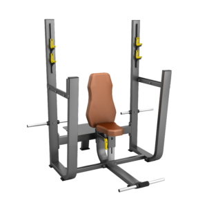 F51 Olympic Seated Bench Gym Equipment