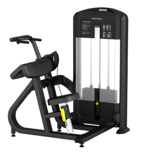 Discounted Price Commercial Gym Machine Physical Training Fitness Equipment Triceps Extension