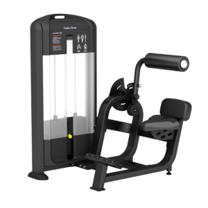 OEM Service Gimnasio Body Building Strength Machine Gym Equipment Pin Loaded Back Extension