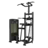 FS09 Dip/Chin Assist Gym Equipment