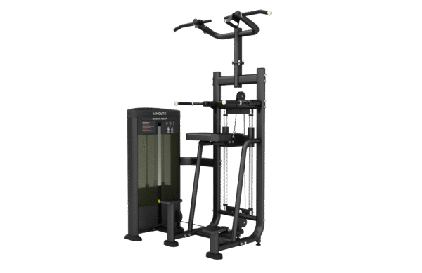 FS09 Dip/Chin Assist Gym Equipment