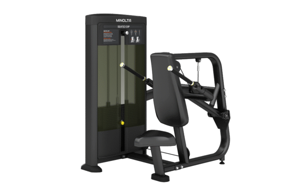 FS26 Seated Dip Gym Equipment