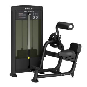 FS31 Back Extension Gym Equipment