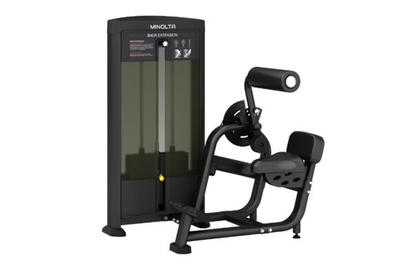 FS31 Back Extension Gym Equipment